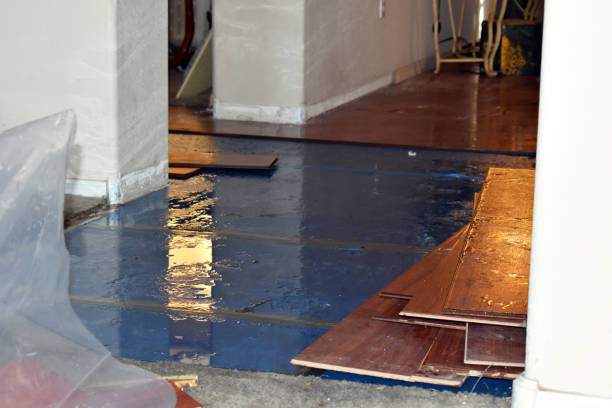 Professional Emergency Water Damage Restoration technician working in Berne, IN